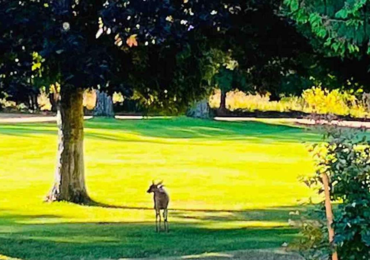 Oceanside Manor - Fancy Room - Golf Course & Beach View Qualicum Beach Eksteriør billede